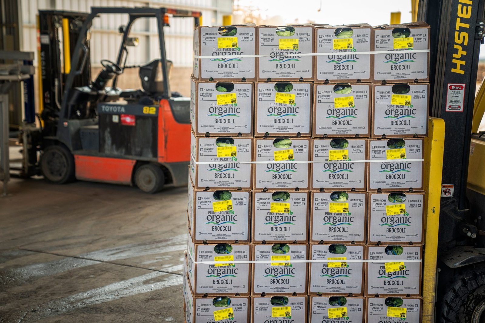 Cariste déplaçant des palettes de produits alimentaires conditionnés